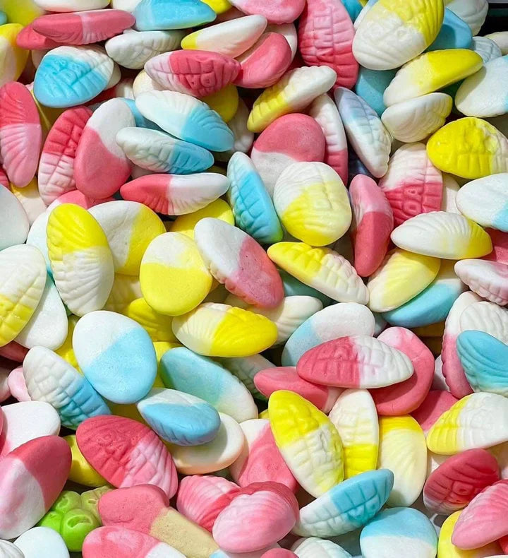 Palourdes lisses / 100g